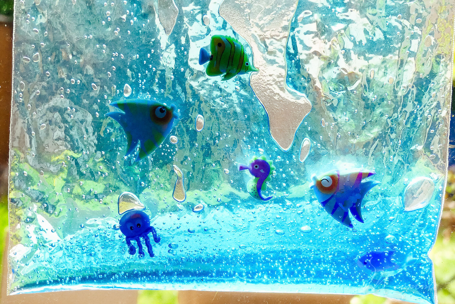 sac sensoriel aquarium gel et poissons