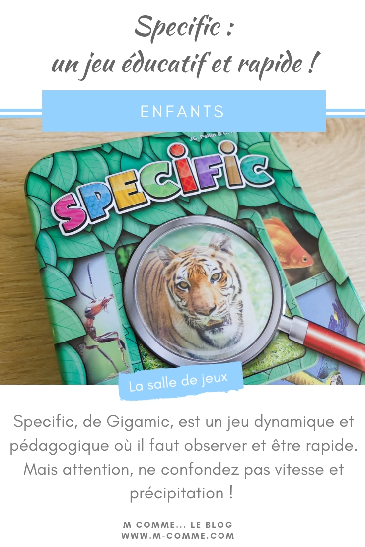 jeu specific gigamic