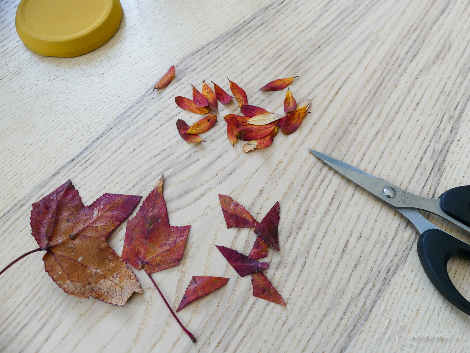 Activité d'automne avec feuilles mortes
